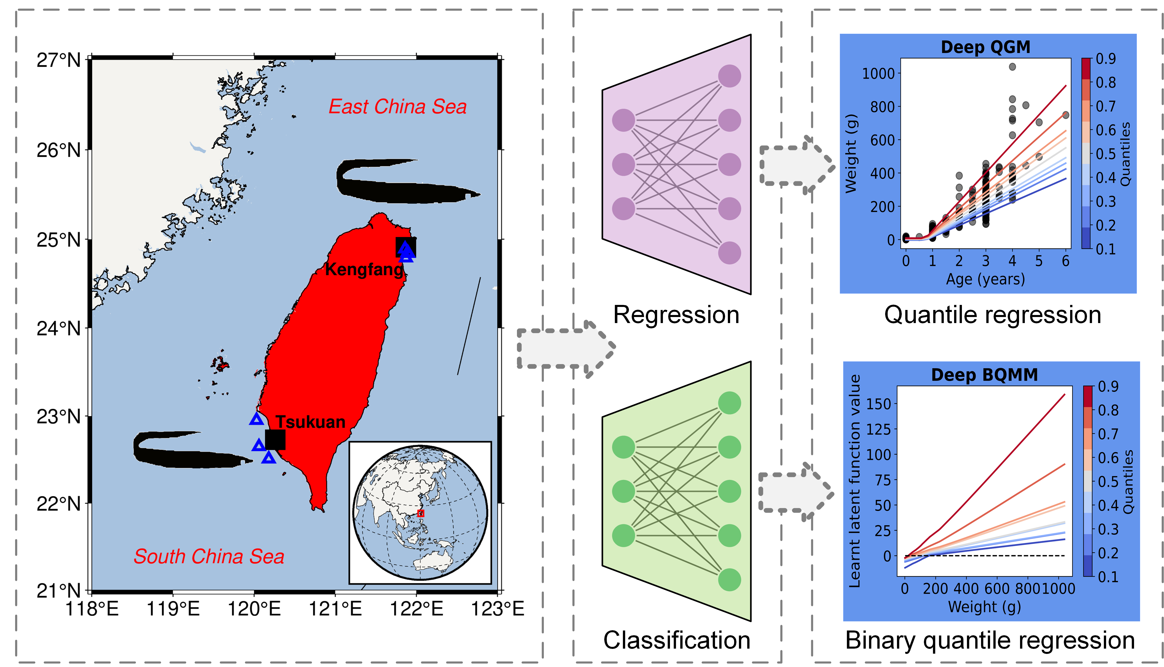 Deep Quantile Maturation Reaction Norms