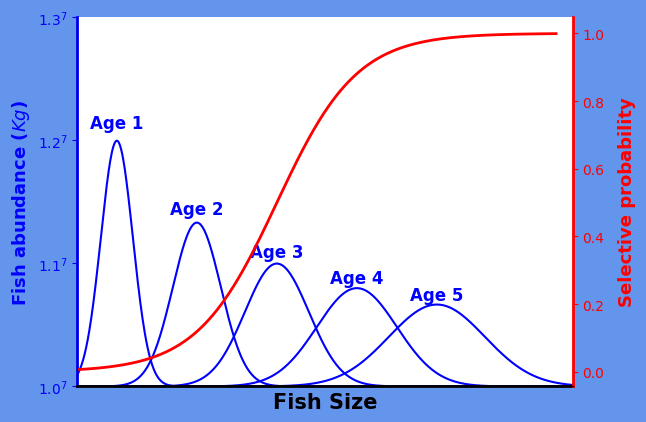 拖网选择性曲线